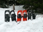 Snowshoes in a line